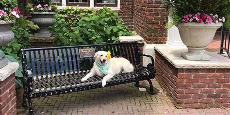 Image result for Spring Lake Library