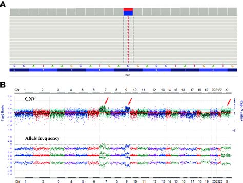 Afbeeldingsresultaten voor Copy Number Variation Mutation