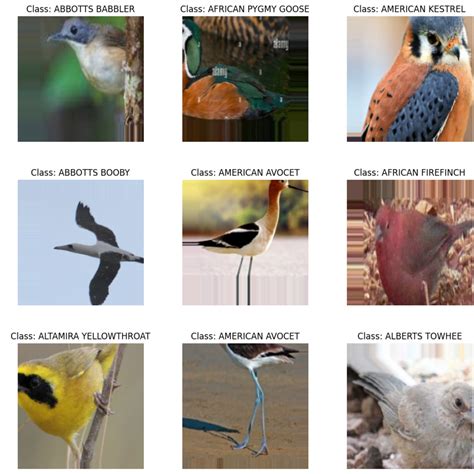 Toradh íomhá ar Animal Image Classification Dataset