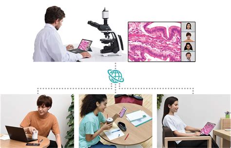 Image result for Microscope eVision