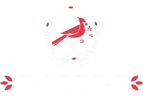 Vision Development Team Logo に対する画像結果