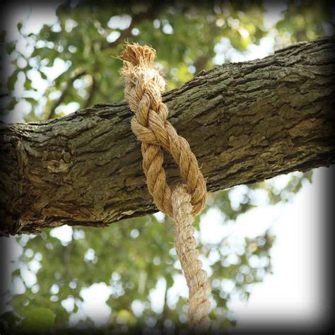 Image result for Eight Strand Eye Splice