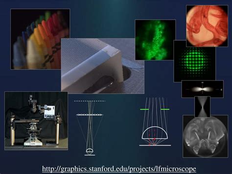 Image result for Geometric Shapes Light Microscopy