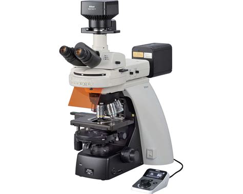 Afbeeldingsresultaten voor Normal Nikon Microscope