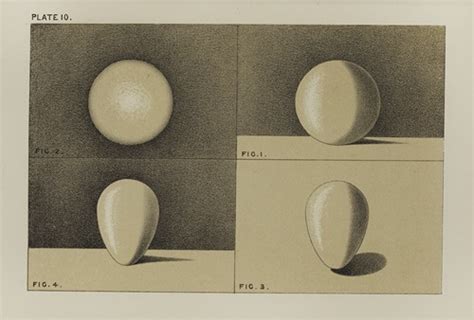 Shade and Value Reference に対する画像結果