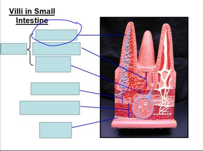 Toradh íomhá ar Java Practicle Quiz