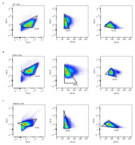 Fig. S1 | Flow cytometry gating examples. Gating strategies for a WT ...