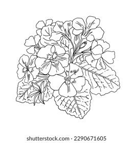 Spring Blossom Picture Line Drawing に対する画像結果