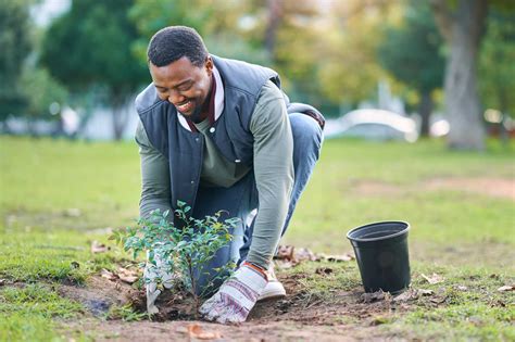 Image result for Person That Is a Tree