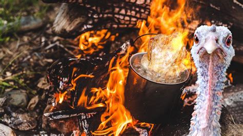 Afbeeldingsresultaten voor Exploding Turkey