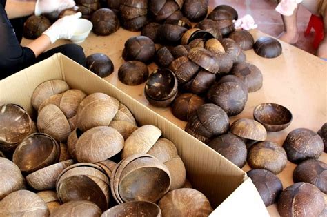 Innovative Coconut Shell に対する画像結果