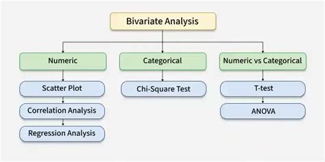 Image result for Example Bivariate Numerical