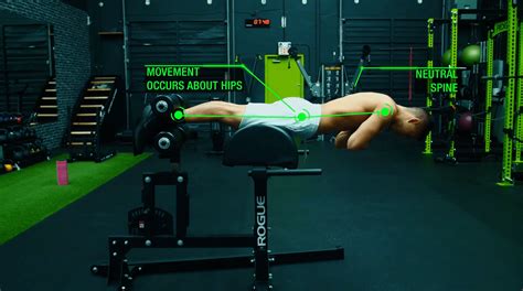 Image result for Back Extension Variations