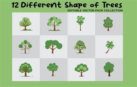 Image result for Tree Only Shape