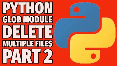 Glob Module Python に対する画像結果