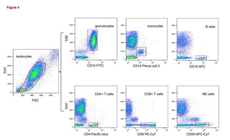 Image result for Flow Cytometry Gating
