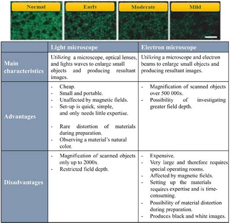 Light Microscope vs Electron Microscope Table に対する画像結果