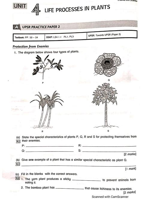 Life Processes Worksheet.pdf に対する画像結果