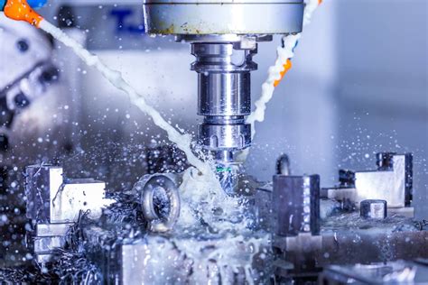 Image result for Service Animal Icon