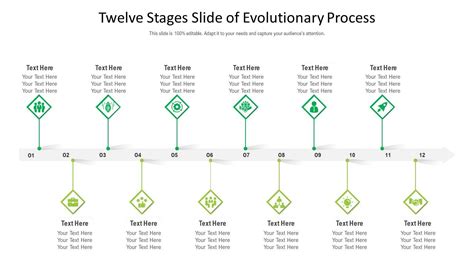 Image result for Evolutionary Steps