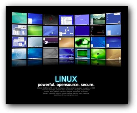 Image result for Linux Home