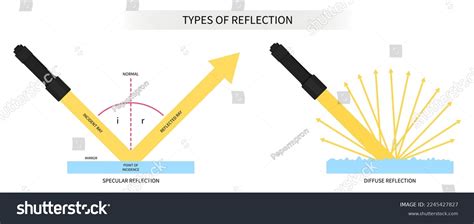 Diffuse Light Reflection에 대한 이미지 결과