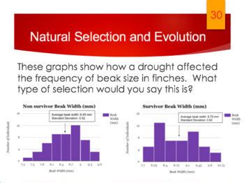 Evolution and Natural Selection Task Cards に対する画像結果