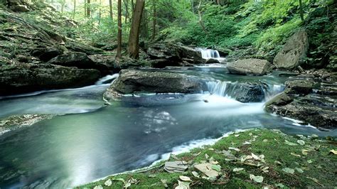 Afbeeldingsresultaten voor Free Nature Desktop Download