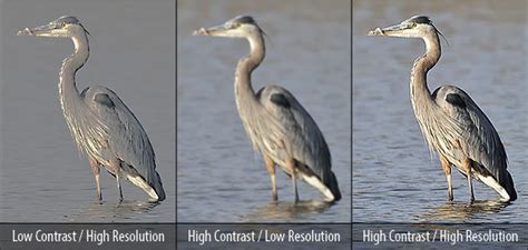 Toradh íomhá ar Spatial Resolution vs Contrast Resolution On Radioghraph