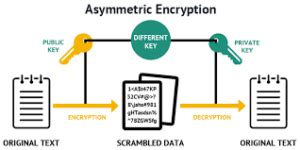 Asymmetric Encryption Examples に対する画像結果