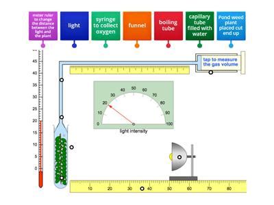 Image result for Solubility Practical