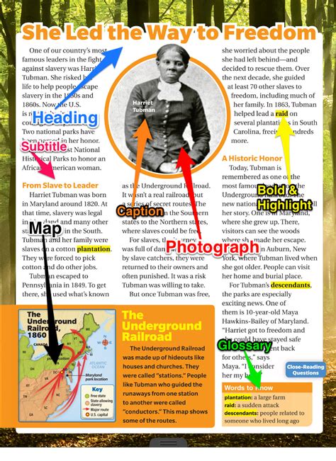 Toradh íomhá ar Digital Text Examples