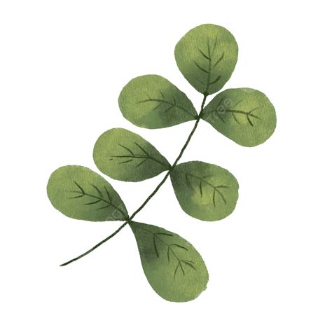 Image result for Simple Leaf Drawing Transparent Background