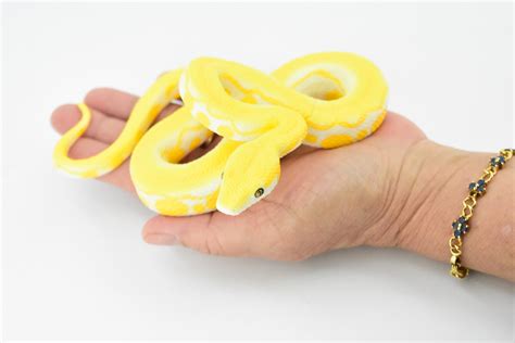 Image result for Burmese Python Toy Figure