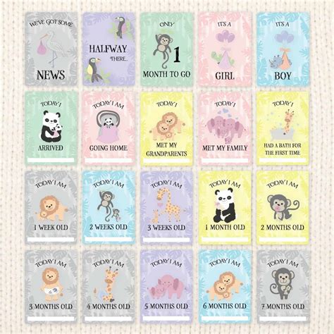 Afbeeldingsresultaten voor Baby Milestone Cards