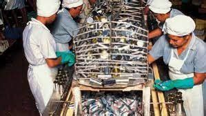 Image result for Methods of Processing Fish