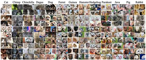 Image result for Animal Image Classification Dataset