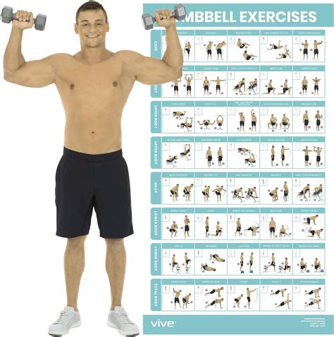 Image result for Best Arm Workout with Dumbbells