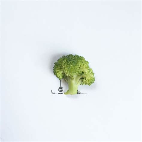 Image result for Sample Small Objects