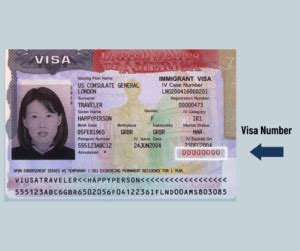 Image result for How Visa Is