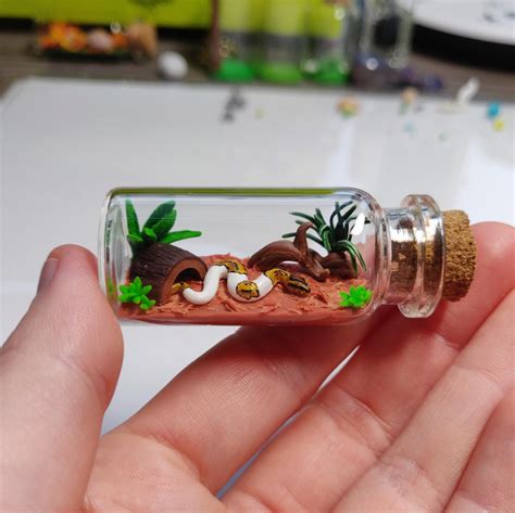 Image result for Ball Python Engraving