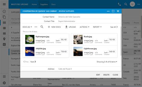 Basic Multi File Upload に対する画像結果