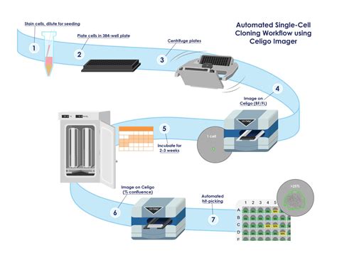 Toradh íomhá ar High-Throughput Screening Cell