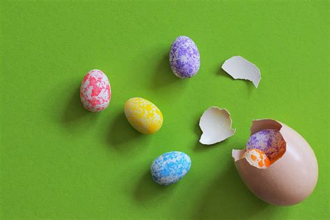 Image result for Python Easter Eggs