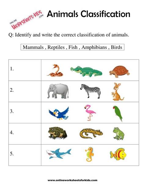 Image result for Classifying Animals Worksheet