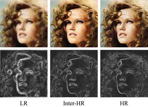 Function Gradient Visualization に対する画像結果