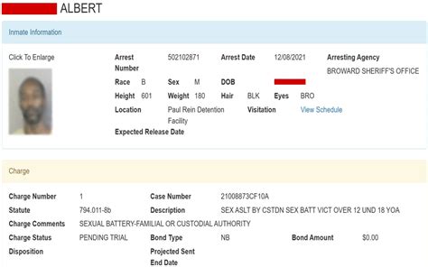 Image result for Criminal Arrest Records