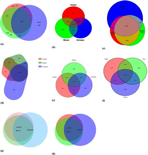 Toradh íomhá ar Venn Diagram without Python