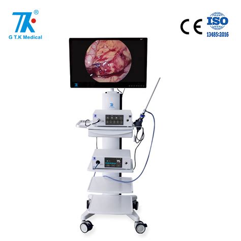 Endoscopic Spine Surgery Camera System に対する画像結果