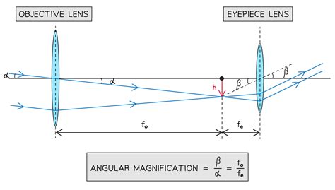 Angular Magnification に対する画像結果